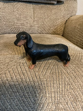 Dachshund sausage dog for sale  PETERCULTER