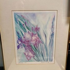 Michele kennedy gladiolas for sale  Milwaukee