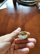 Pierre silex d'occasion  Marseille XI