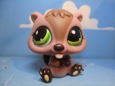 Petshop castor 1108 d'occasion  Bailleul