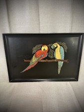 Vintage parrots couroc for sale  Verbena