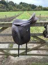 17.5 brown dressage for sale  ASHINGTON