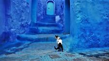 Cat blue city for sale  Pleasanton
