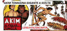 Fumetto originale akim usato  Sandigliano