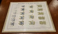 Placa decorativa dentista antiga vintage 1944 arte de parede dental dentes carta de dentição humana  comprar usado  Enviando para Brazil