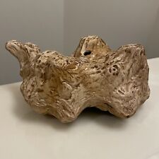 Ceramic reptile rock for sale  Bally