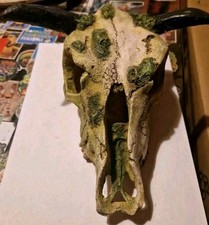 Terrarium deko tierschädel gebraucht kaufen  Ludwigsfelde