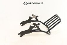 Harley davidson softail gebraucht kaufen  Kiel
