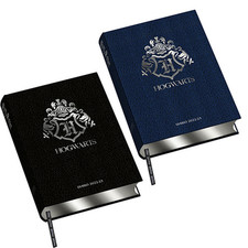 Diario mesi limited usato  Roma