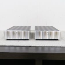 Coppia amplificatori potenza usato  Spedire a Italy