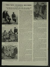 Greyhound hare coursing for sale  WORCESTER