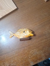 piranha fish for sale piranha fish for sale Hot Springs Village