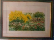 Litografia 200 primavera usato  Roma