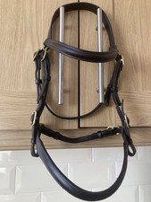 English pony shetland for sale  BRIDGEND