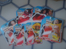 Wrestling action figure usato  Napoli