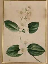 Antique mid 19th for sale Antique mid 19th for sale  DRYBROOK