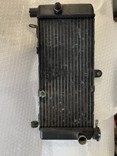 Radiatore acqua honda usato  Priverno