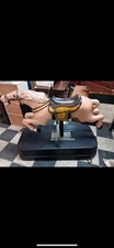 Coin operated horse for sale  Ferris