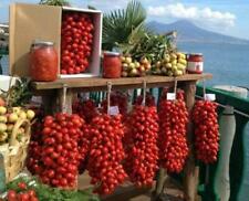 Semi pomodoro piennolo usato  Italia