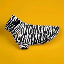Paikka bug hundeshirt gebraucht kaufen  Emsdetten