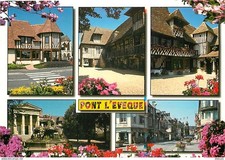 Pont eveque multivues d'occasion  Fruges