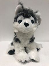 Husky malamute dog for sale  ABERTILLERY