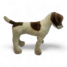 Jack russell terrier for sale  PEACEHAVEN