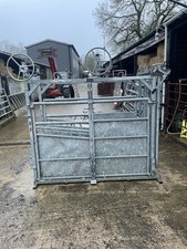 Bateman cattle crush for sale  AMERSHAM