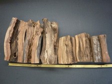 baumstamm gebraucht kaufen baumstamm gebraucht kaufen Ingolstadt