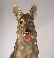 Wien knight dog for sale  Aurora