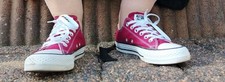 Converse schuhe schuhgröße gebraucht kaufen  Balve