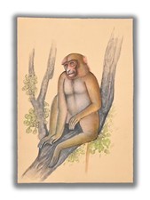 Linda Pintura De Mono Macaco Hecha A Mano 8.8 X 6 Pulgadas "PN13171" comprar usado  Enviando para Brazil