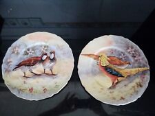 Limoges quinque plats d'occasion  L'Isle-sur-la-Sorgue