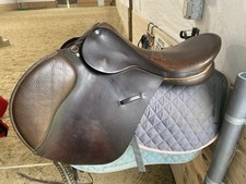 Ainsley chester jump for sale  Onalaska