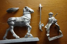 Ecuyer bretonnien cheval d'occasion  Rivedoux-Plage