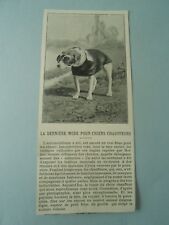 Dernière mode chiens d'occasion  La Verpillière