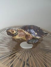 Tortue réaliste kare d'occasion  Narrosse