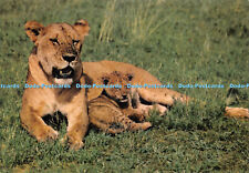 D066293 african wild for sale  WARLINGHAM