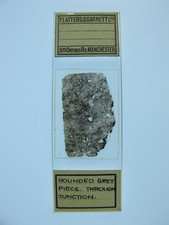 Antique microscope slide for sale  BRISTOL