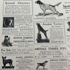 Dogs kennels terriers for sale  West Hartford