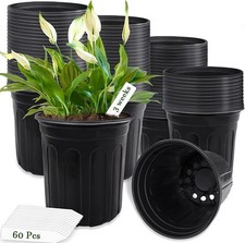 Pcs gallon plant for sale  Brooklyn