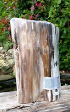 Large petrified fossil for sale  WREXHAM