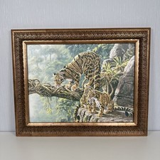 Stephen gayford rainforest for sale  RHYL