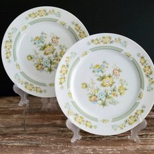Conjunto de Pratos de Jantar Vintage Cottagecore Verde Pálido e Amarelo Floral Feito no Japão comprar usado  Enviando para Brazil