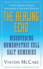 Healing echo discovering for sale  Dayton
