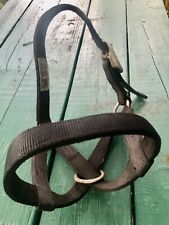 Big calf steer for sale  Indiana