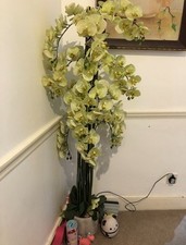 Extra large beautiful for sale  LONDON