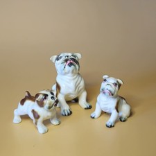Vintage english bulldog for sale  Barton
