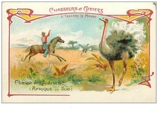 Chromos. 34198. autruche.afriq d'occasion  France