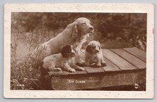 Vintage postcard guard for sale  MANCHESTER